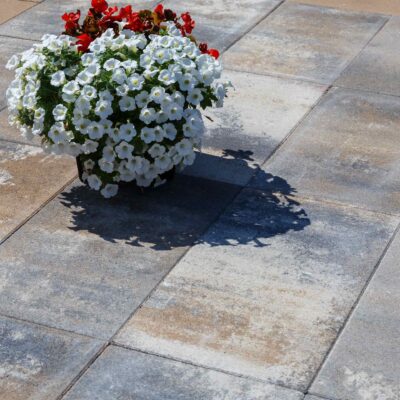 Lavagraue Elegant Platte, 60x30x3,8 cm, ideal für Terrassen und Gehwege, umgeben von blühenden Pflanzen auf einer gut strukturierten Oberfläche. Perfekt für stilvolle Außenanlagen und begehbare Bereiche. Exklusiv erhältlich bei Garten Leber.